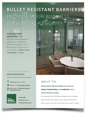 TSS_Company_Overview_Preview2_FIN-1.jpg